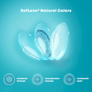 6 Soflens Natural Colors