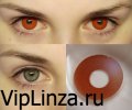 Neo Cosmo Crazy Lenses 042 Красный глаз